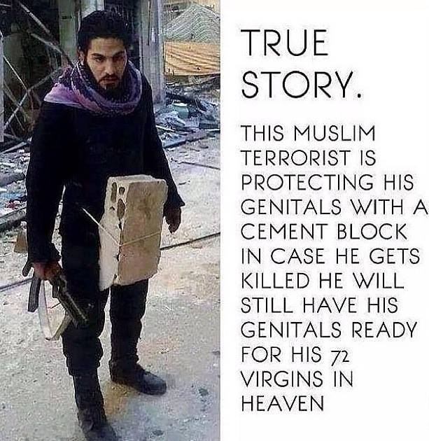 Dantes Wings Gifs n Things