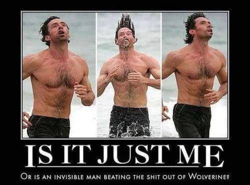 Dantes Wings Gifs n Things