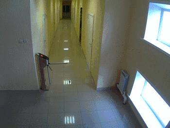 Dantes Wings Gifs n Things