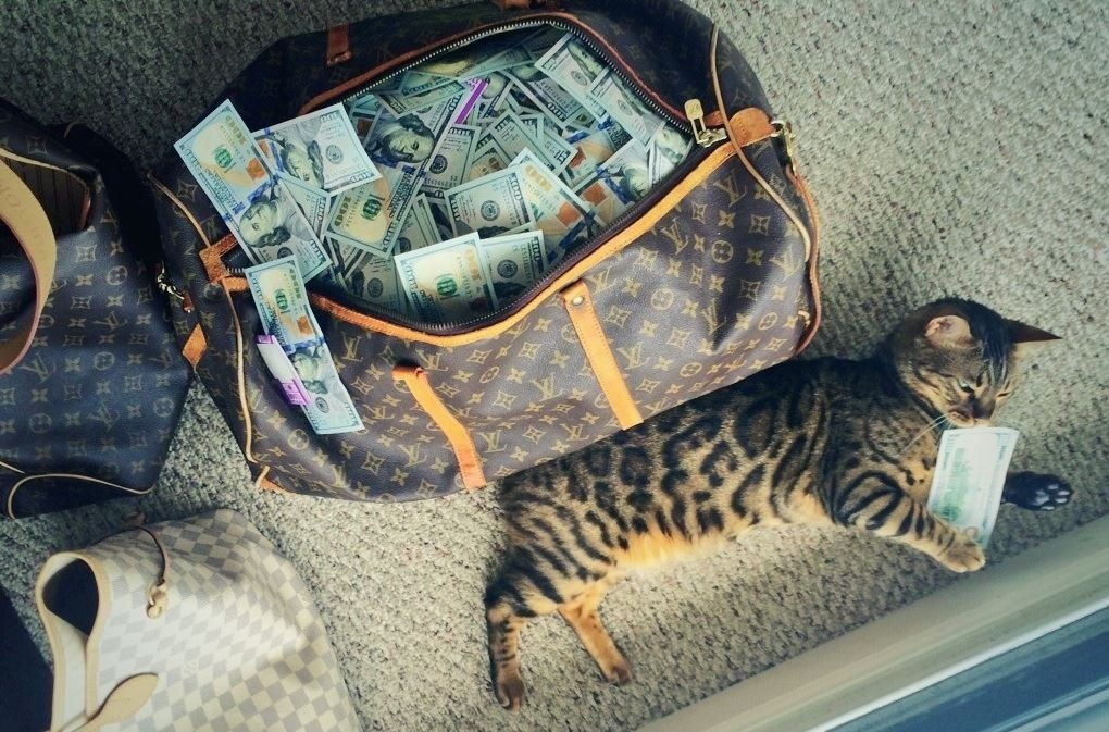 Dantes Wings Gifs n Things