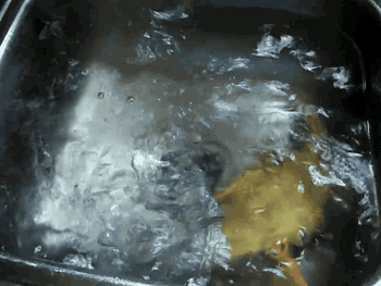 Dantes Wings Gifs n Things