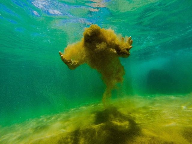 Dantes Wings Gifs n Things