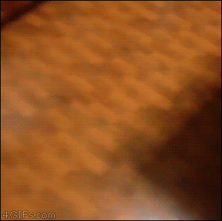 Dantes Wings Gifs n Things