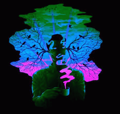 Dantes Wings Gifs n Things