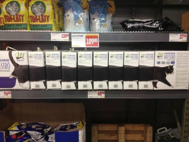 Dantes Wings Gifs n Things