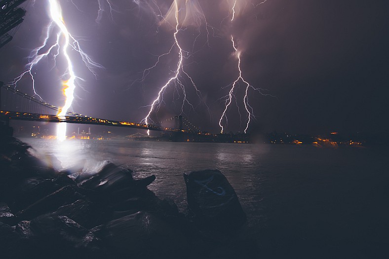 Dantes Wings Gifs n Things