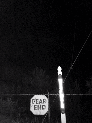 Dantes Wings Gifs n Things