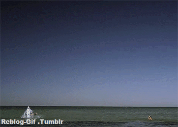 Dantes Wings Gifs n Things