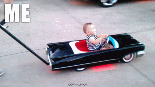 Dantes Wings Gifs n Things