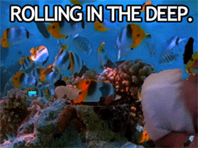 Dantes Wings Gifs n Things