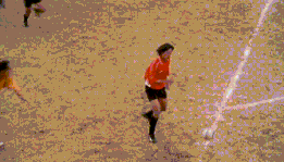 Dantes Wings Gifs n Things