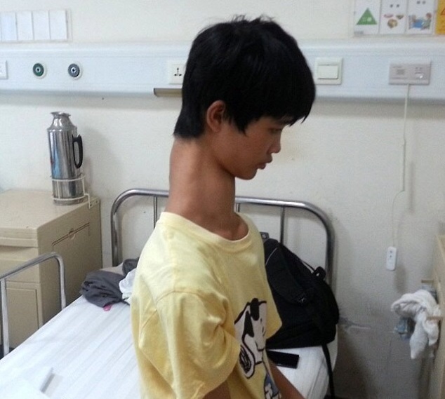 Dantes Wings Gifs n Things