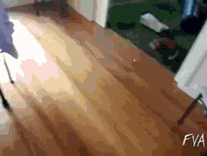 Dantes Wings Gifs n Things