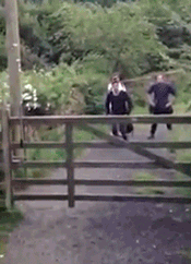 Dantes Wings Gifs n Things