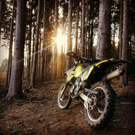 Dantes Wings Gifs n Things