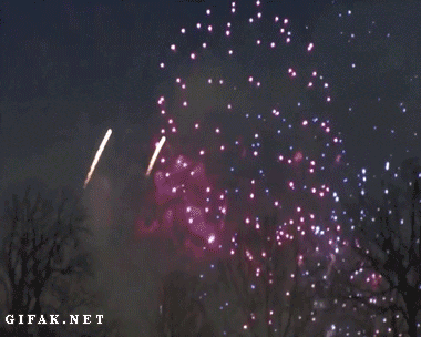 Dantes Wings Gifs n Things