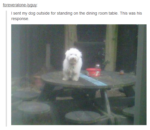 Dantes Wings Gifs n Things