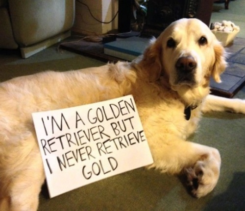 Dantes Wings Gifs n Things