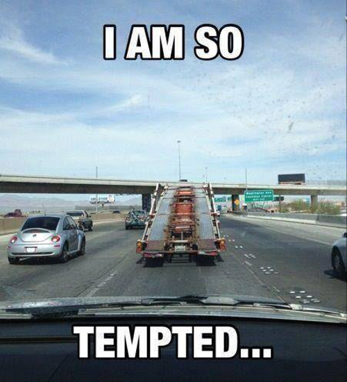 Dantes Wings Gifs n Things