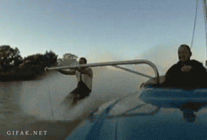 Dantes Wings Gifs n Things