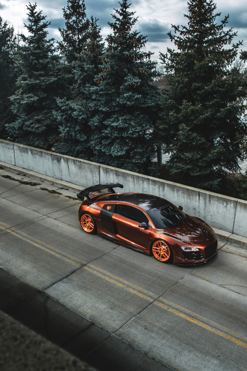 Audi R8 -
