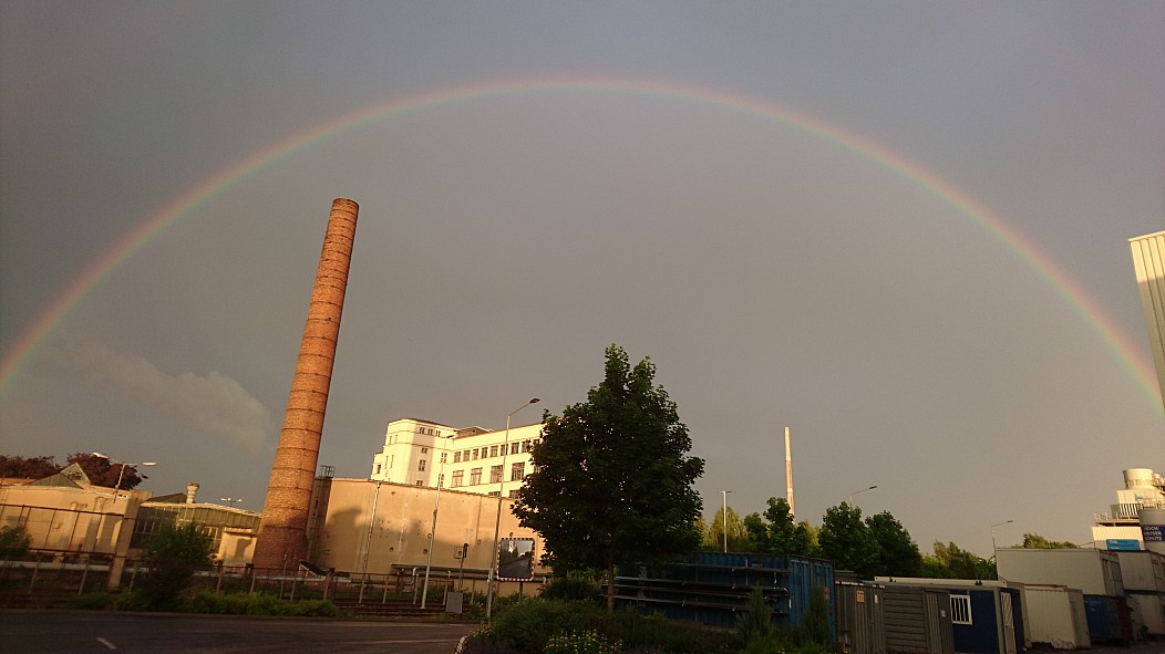 Dante's Wings Gifs n Things #398