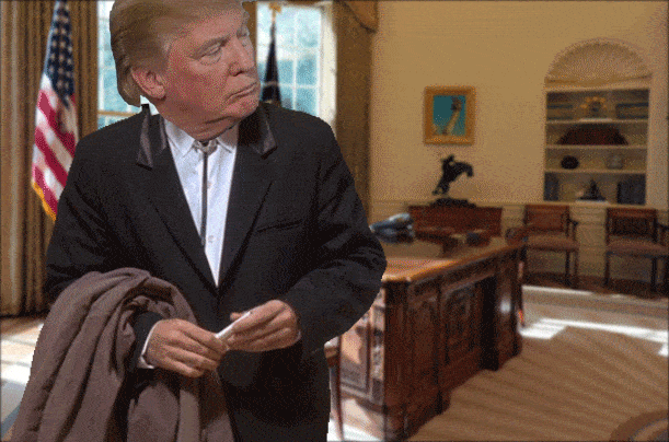 Dante's Wings Gifs n Things #398