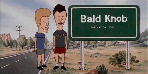pic -beavis and butthead score - Bald knob Population 1500