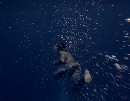 Dante's Wings Gifs n Things #532