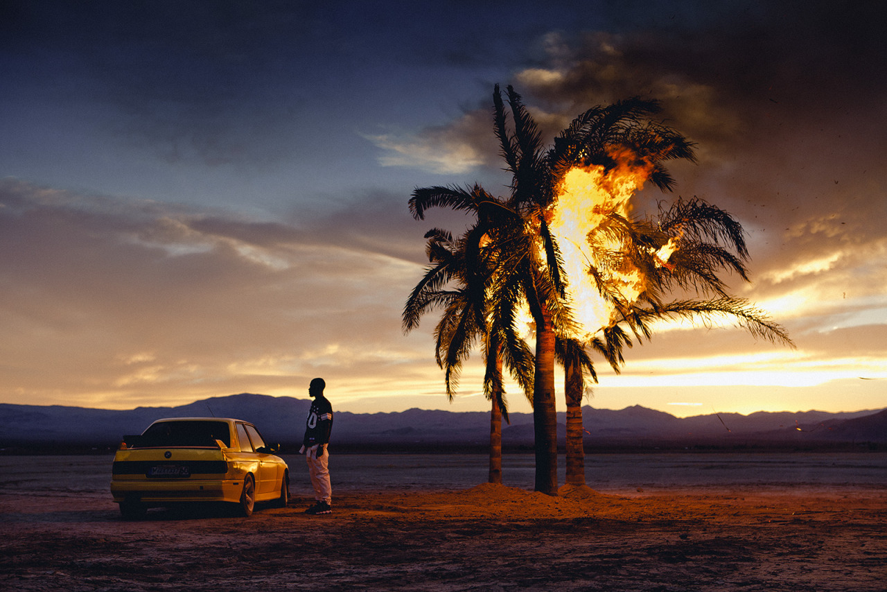 Dante's Wings Gifs n Things #532