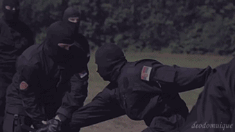 Dante's Wings Gifs n Things #532