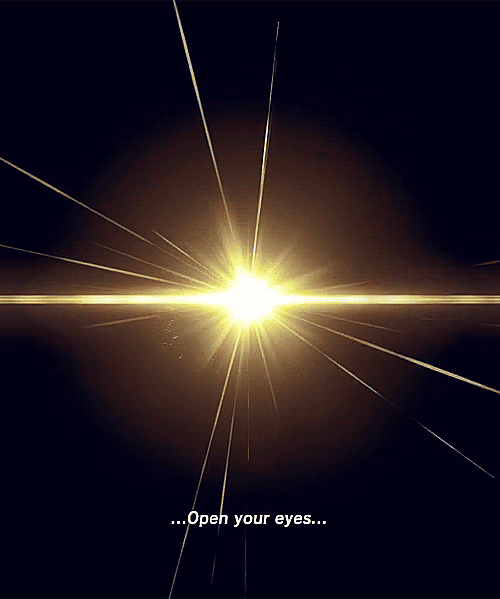 Dante's Wings Gifs n Things #532