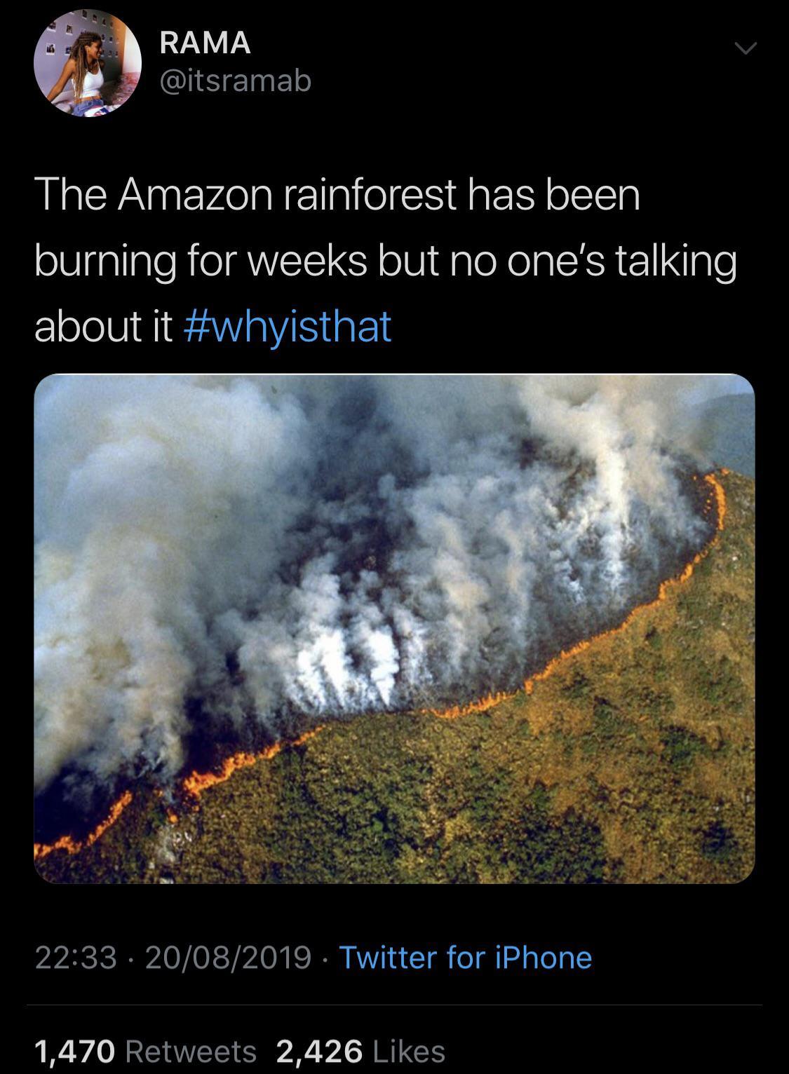 Dante's Wings Gifs n Things #532