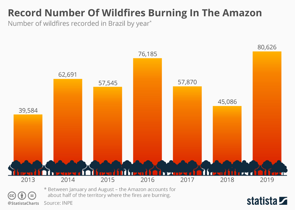 amazon rainforest fire statistics - Record Number Of Wildfires Burning In The Amazon Number of wildfires recorded in Brazil by year 80,626 76,185 62,691 57,545 57,870 45,086 39,584 2017 2018 2019 2013 2014 2015 2016 Between January and August the Amazon a
