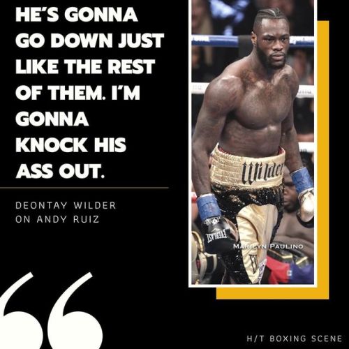 professional boxing - He'S Gonna Go Down Just The Rest Of Them. I'M Gonna Knock His Ass Out. Deontay Wilder On Andy Ruiz Atique Meseyn Paulino HT Boxing Scene