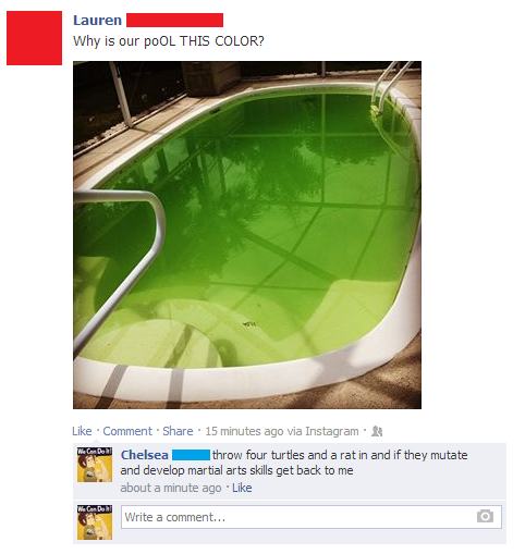 green pool funny - Lauren Why is our poOL This Color? Comment 15 minutes ago via Instagram Me polu Chelsea throw four turtles and a rat in and if they mutate and develop martial arts skills get back to me about a minute ago Write a comment...