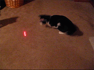 Endless laser pointer fun