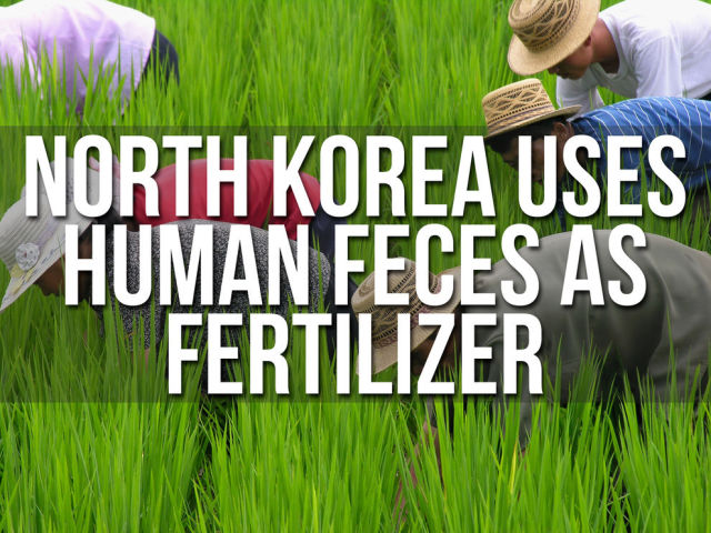 Because of its lack of resources, North Korea was forced to use human feces as fertilizer, demanding the product from its citizens.