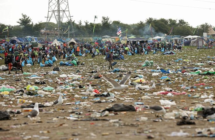 glastonbury litter - Jaa