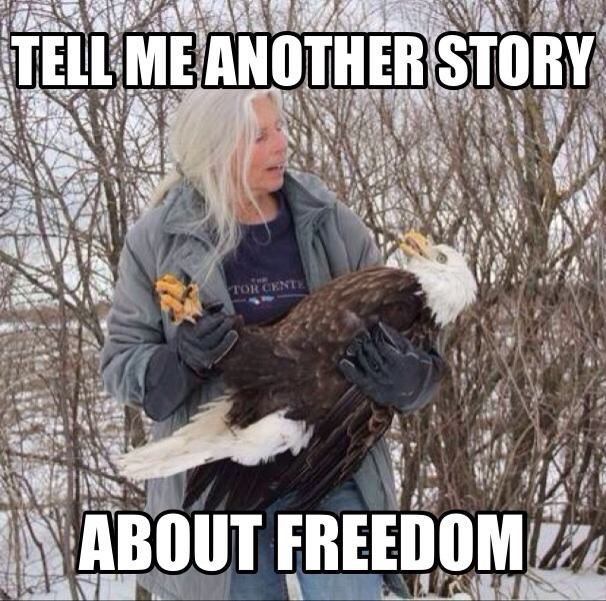 funny 4th of july memes - Tell Me Another Story \\About Freedom