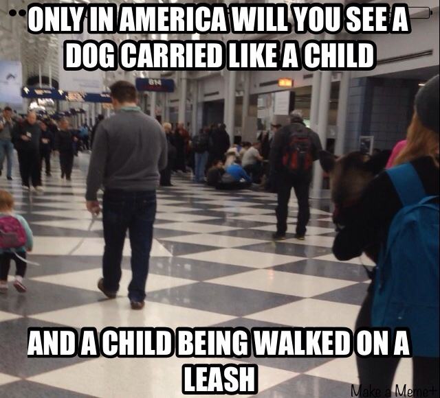 kids leash meme - Only In America Will You See A Dog Carried A Child And A Child Being Walked On A Leash Make a Memet