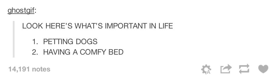 tumblr - ant yapı - ghostgif Look Here'S What'S Important In Life 1. Petting Dogs 2. Having A Comfy Bed 14,191 notes