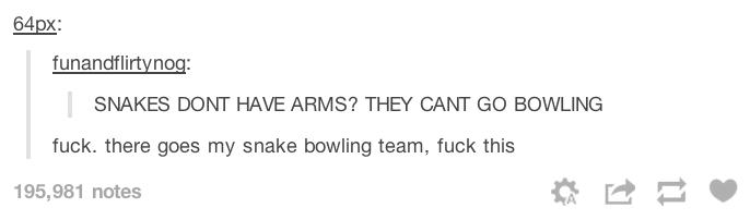 tumblr - heartbleed - 64px funandflirtynog Snakes Dont Have Arms? They Cant Go Bowling fuck. there goes my snake bowling team, fuck this 195,981 notes