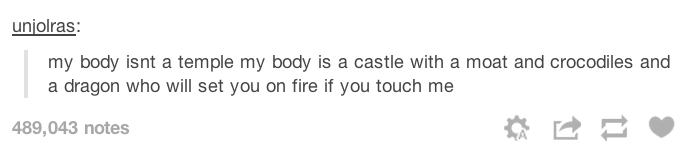 tumblr - heartbleed - unjolras my body isnt a temple my body is a castle with a moat and crocodiles and a dragon who will set you on fire if you touch me 489,043 notes