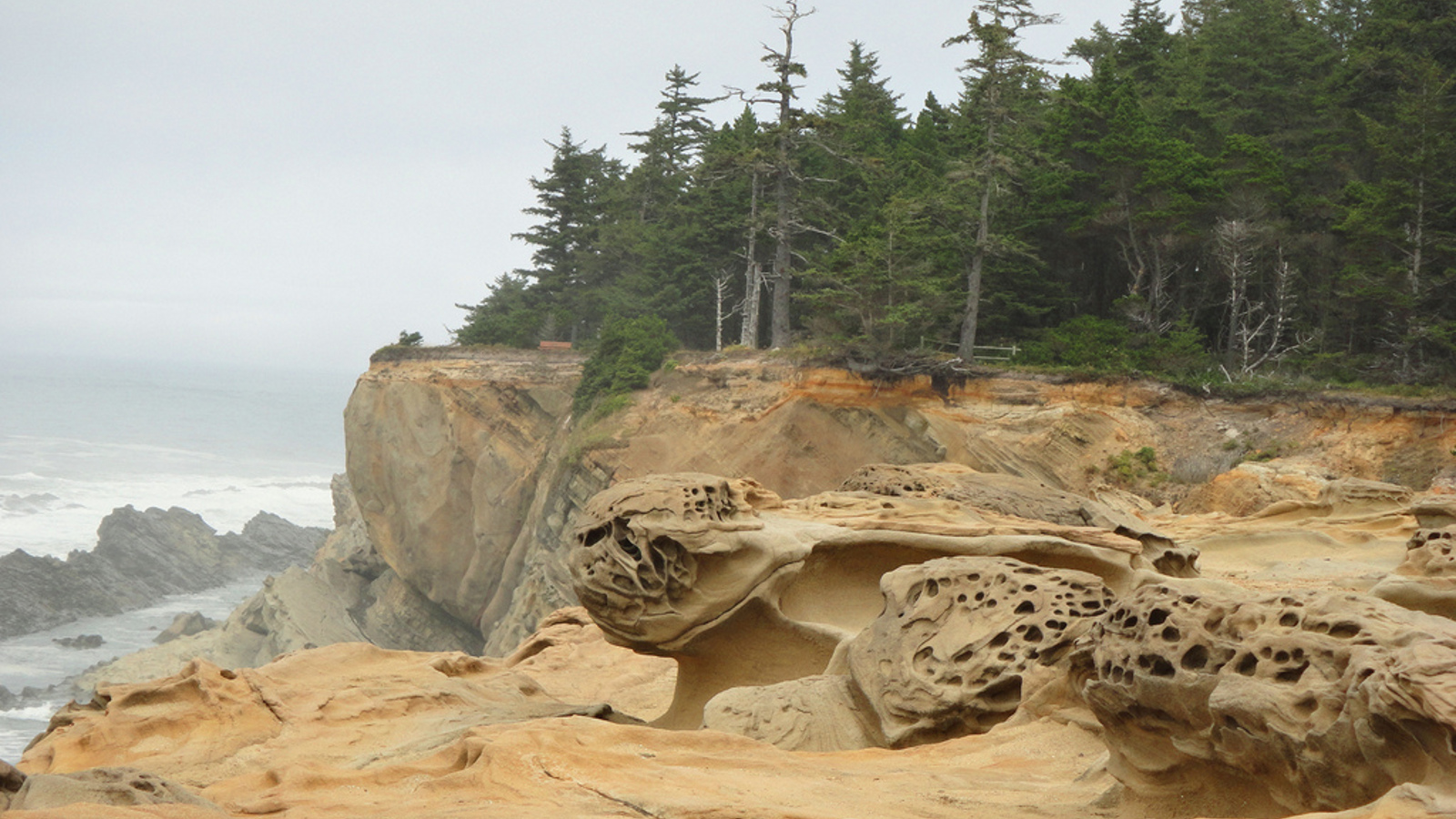 No Relevance Intended