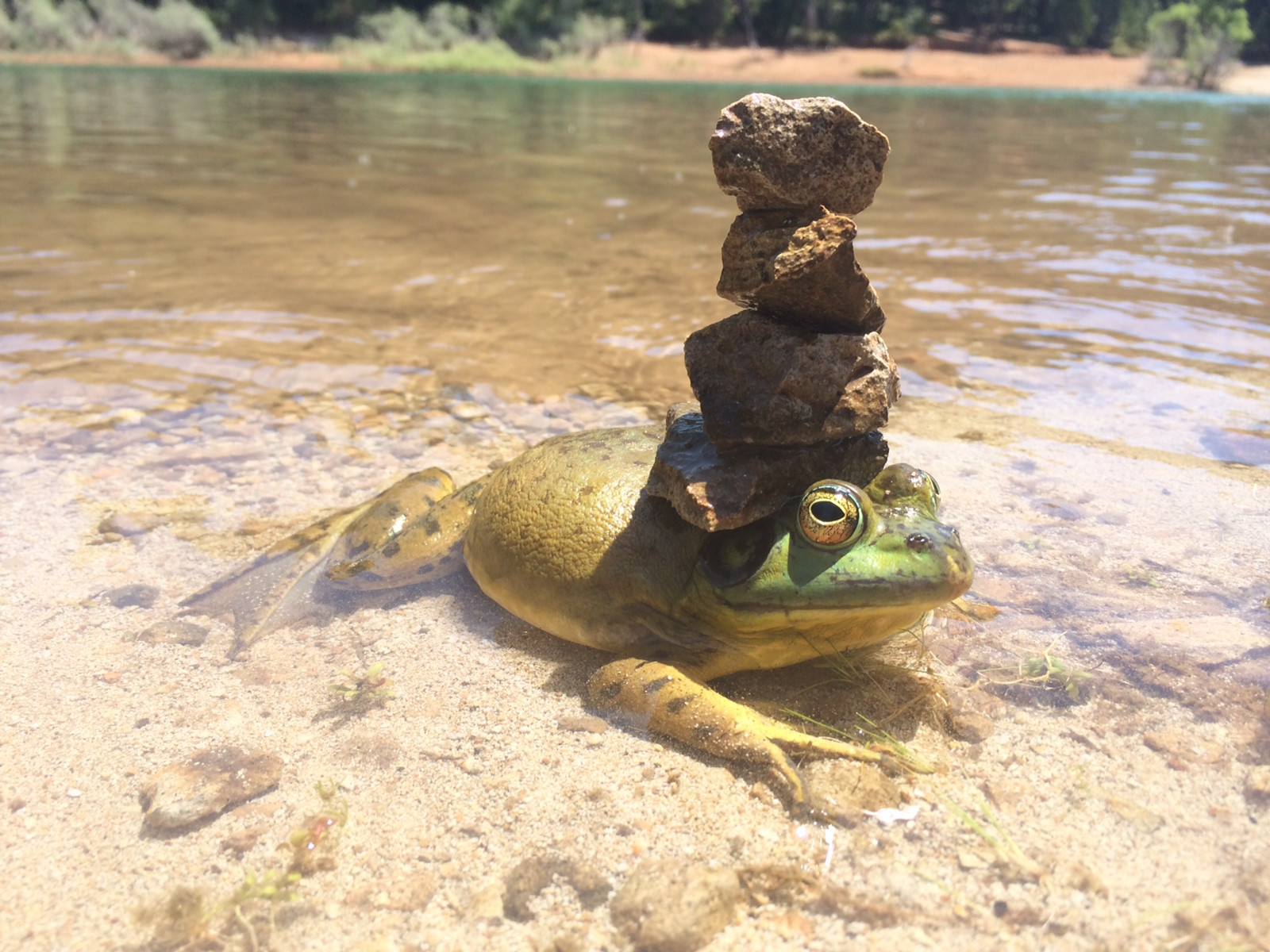 No Relevance Intended