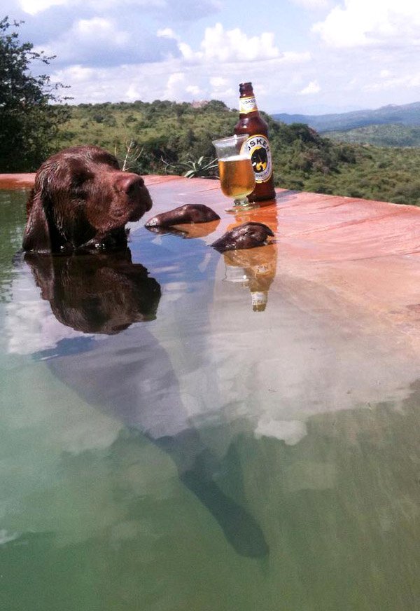 No Relevance Intended