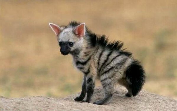 No Relevance Intended