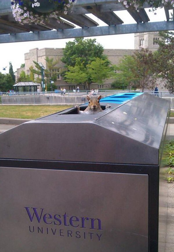 No Relevance Intended