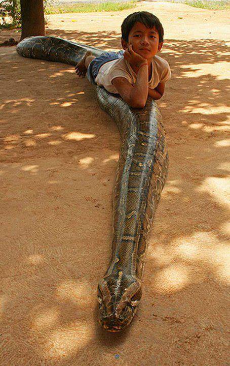 No Relevance Intended